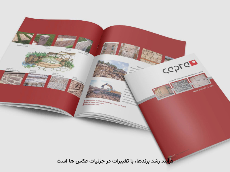 رشد محصولات برندها، با عکسهاسی جذاب کارایی دارد.