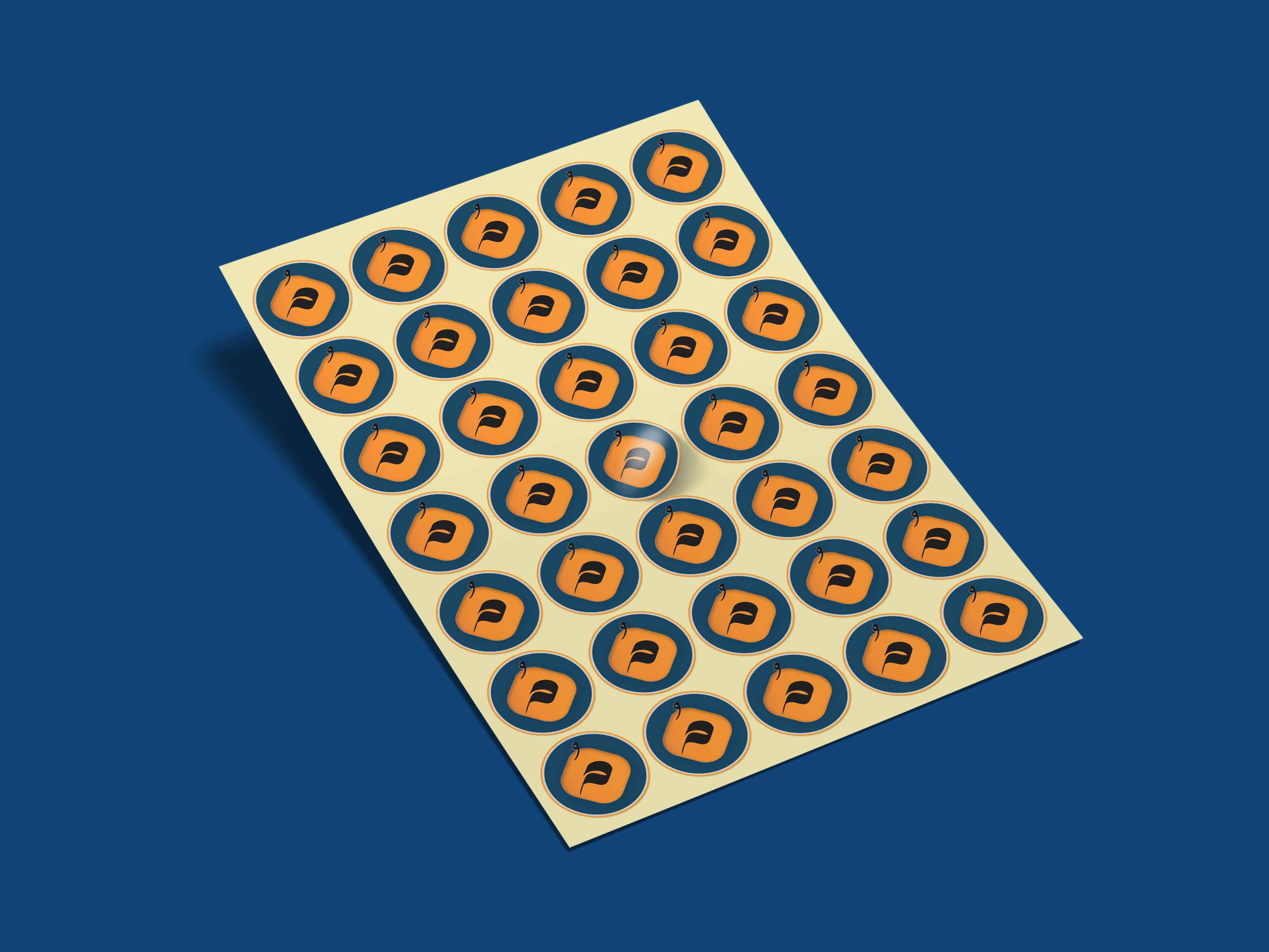 b90a7344-4c3f-44a0-b5c6-03a4c76e7656.jpg